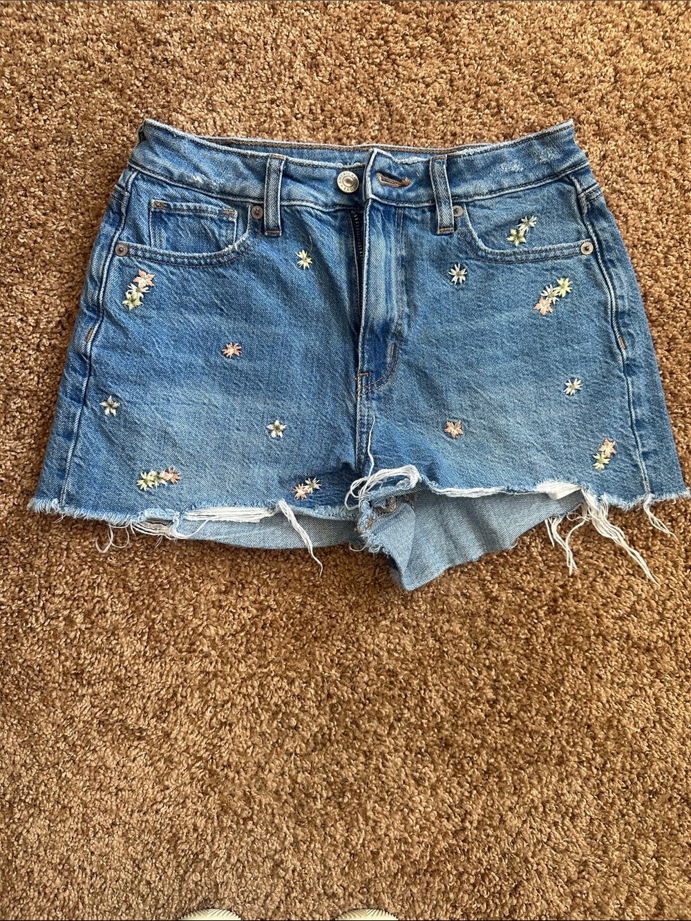 American Eagle Outfitters Blue Denim Embroidered Daisy Jean Shorts